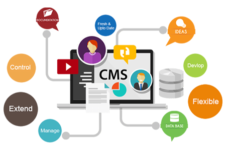 CMS Web Development